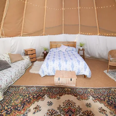 Dragonfly Lodge Ifold & Alpaca My Tipi Glamping Billingshurst Exterior photo