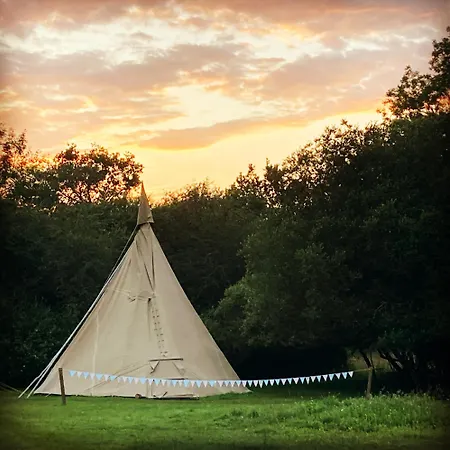 Dragonfly Lodge Ifold & Alpaca My Tipi Glamping Billingshurst Exterior photo