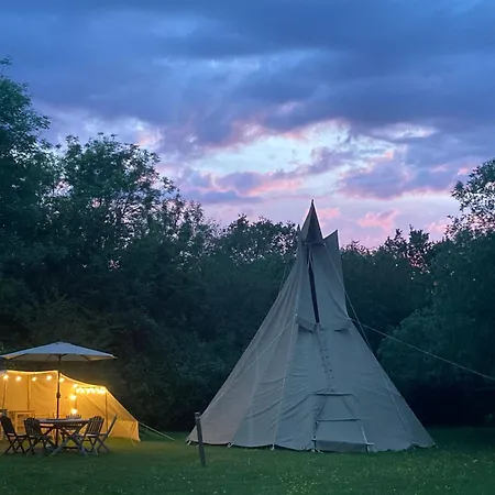 Dragonfly Lodge Ifold & Alpaca My Tipi Glamping Billingshurst Room photo