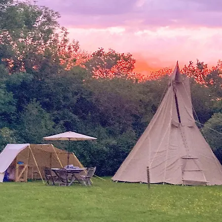 Dragonfly Lodge Ifold & Alpaca My Tipi Glamping Billingshurst Room photo