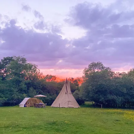 Dragonfly Lodge Ifold & Alpaca My Tipi Glamping Billingshurst Room photo