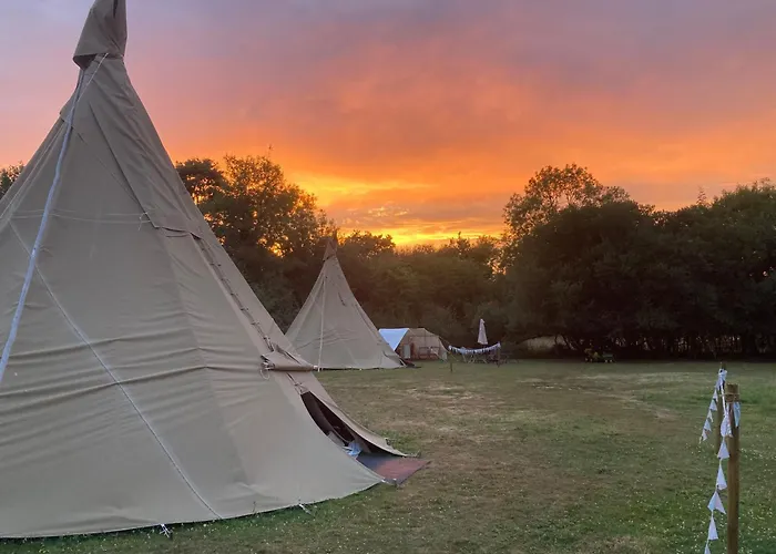 Dragonfly Lodge Ifold & Alpaca My Tipi Glamping