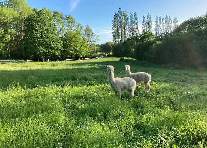 Dragonfly Lodge Ifold & Alpaca My Tipi Glamping