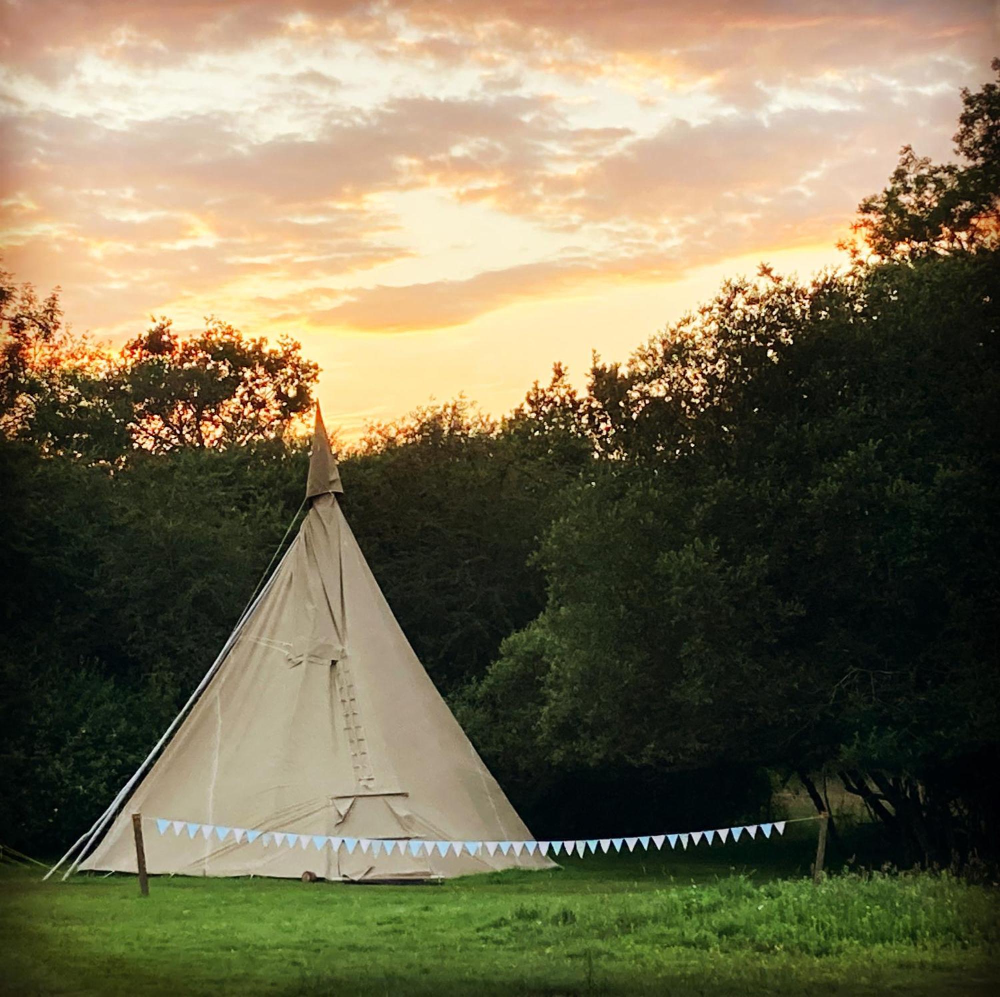 Lodge Dragonfly Ifold & Alpaca My Tipi Glamping