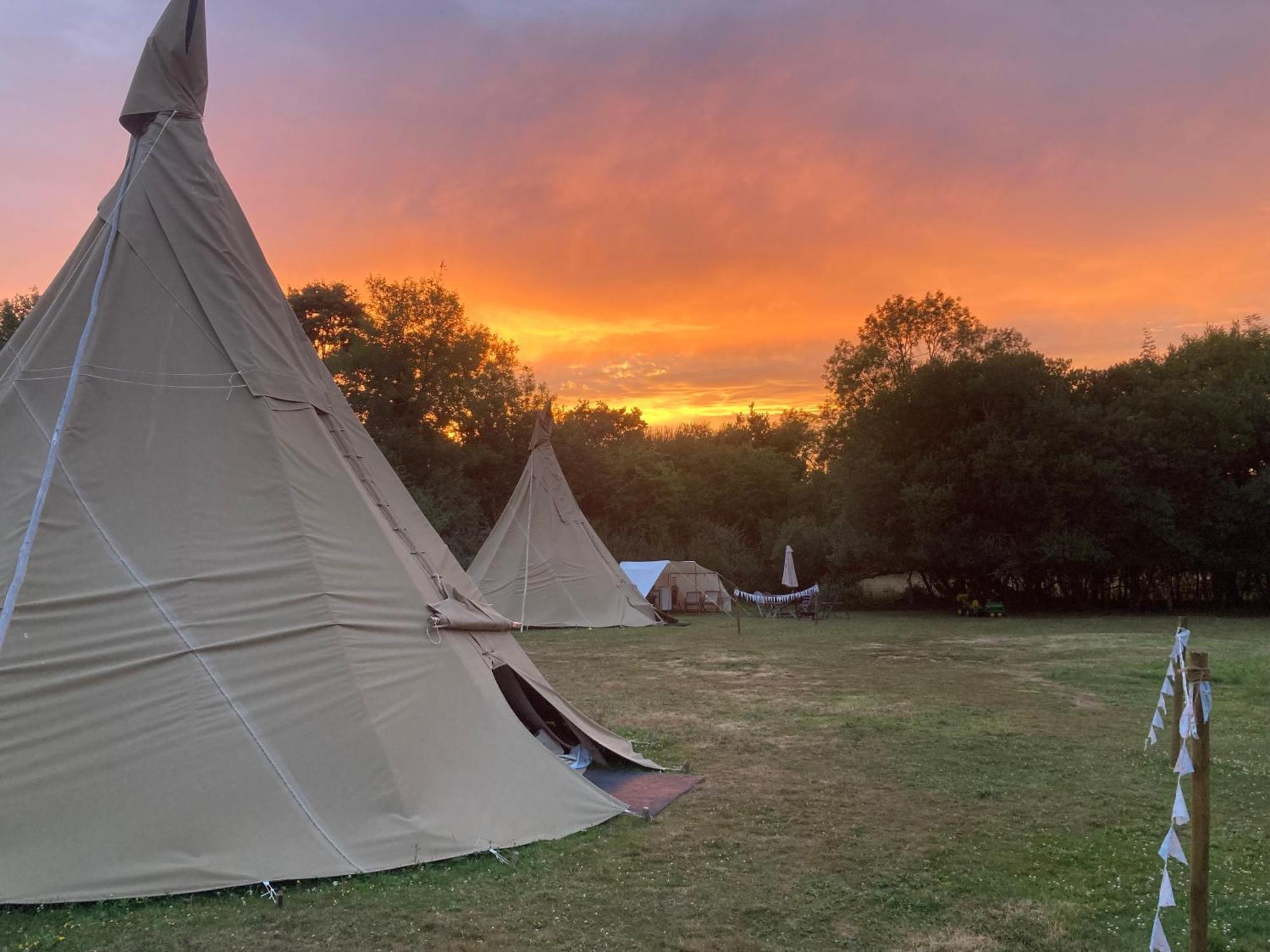 Dragonfly Ifold & Alpaca My Tipi Glamping * Billingshurst