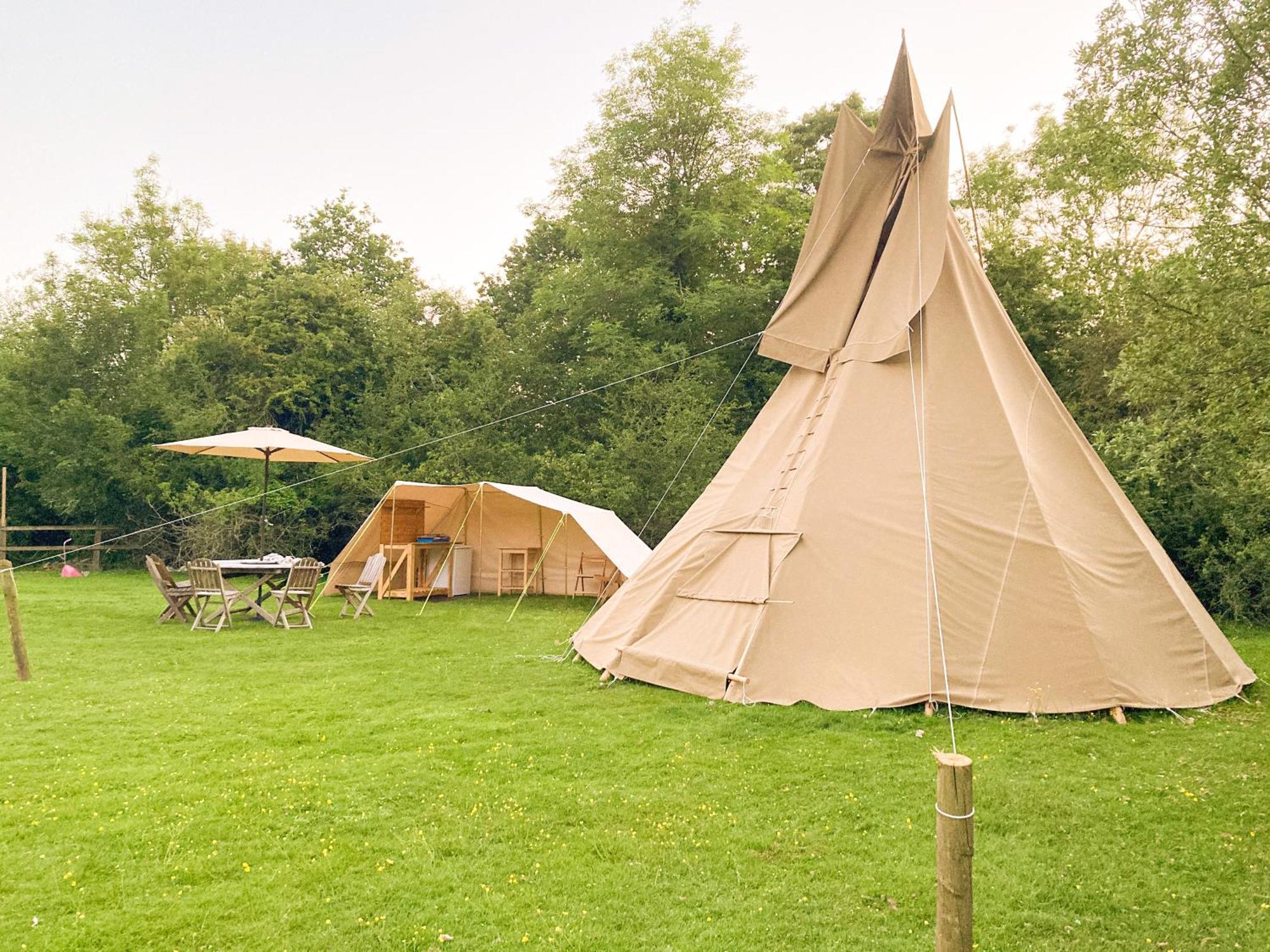 Dragonfly Ifold & Alpaca My Tipi Glamping