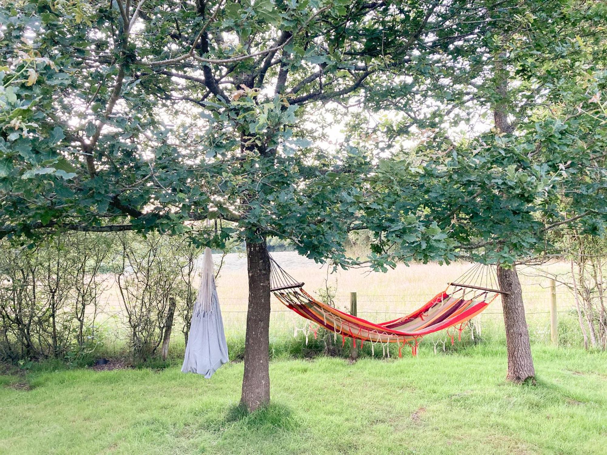 Lodge Dragonfly Ifold & Alpaca My Tipi Glamping Billingshurst