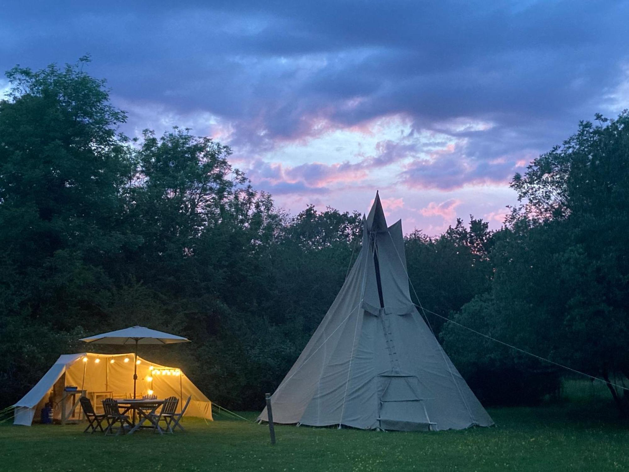 Lodge Dragonfly Ifold & Alpaca My Tipi Glamping *