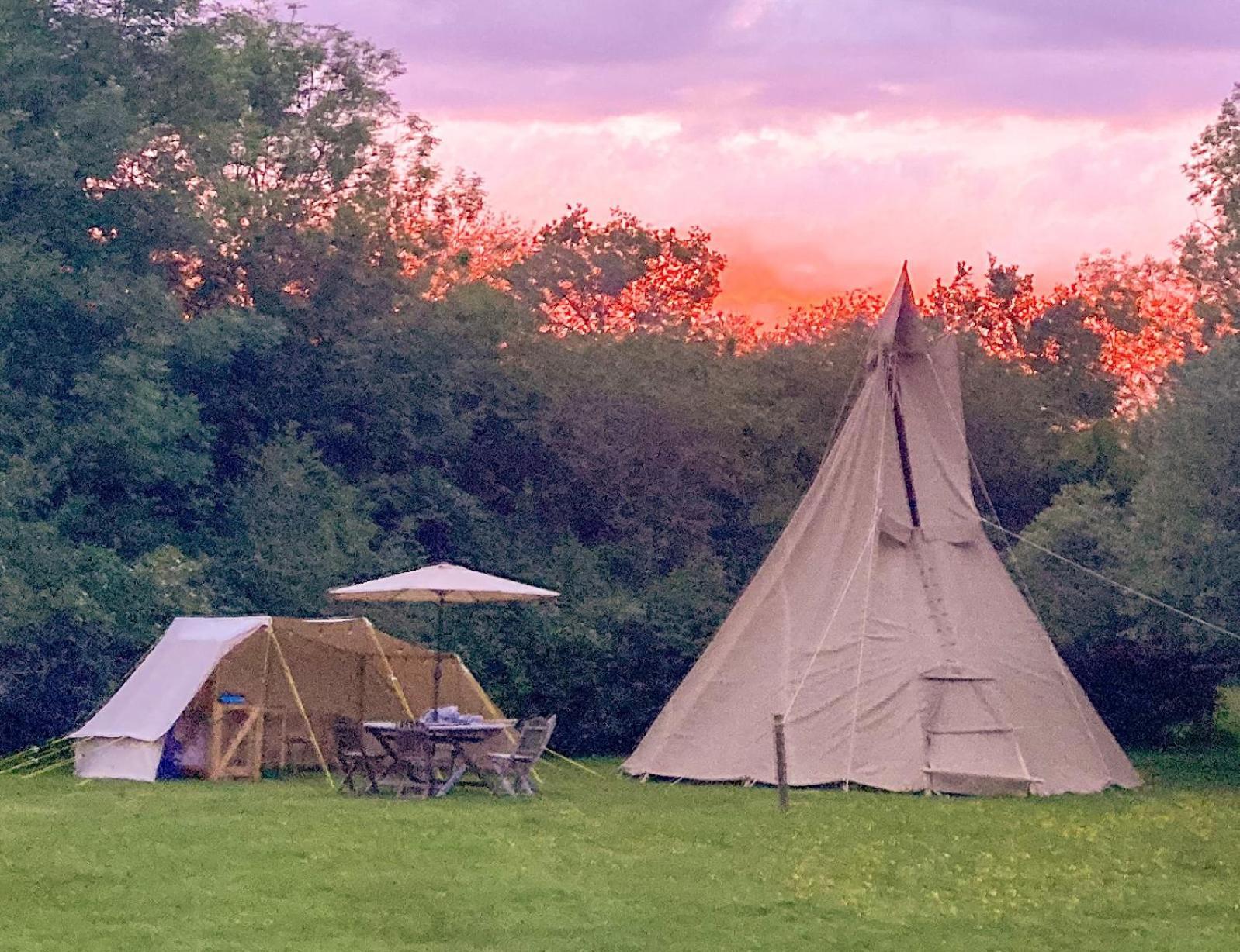 Dragonfly Ifold & Alpaca My Tipi Glamping Lodge Billingshurst