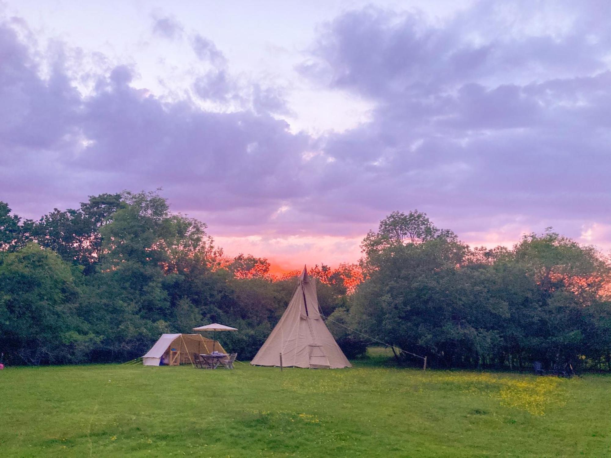 Dragonfly Ifold & Alpaca My Tipi Glamping