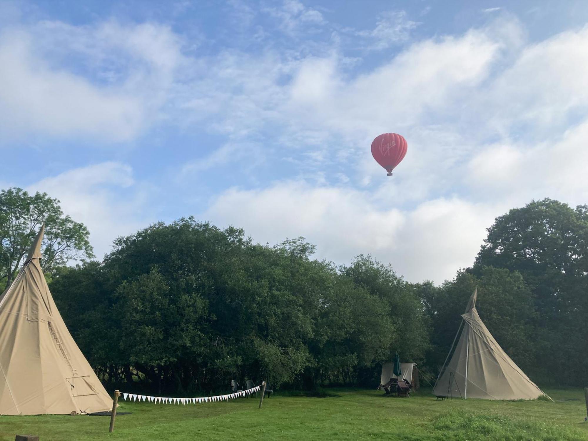 Dragonfly Ifold & Alpaca My Tipi Glamping * Billingshurst