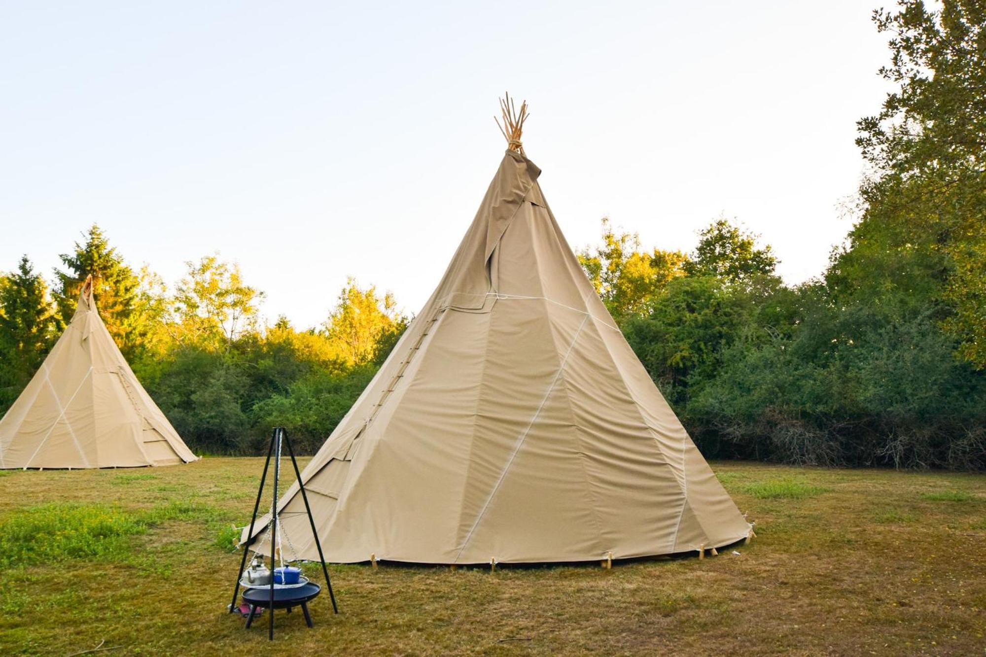 Lodge Dragonfly Ifold & Alpaca My Tipi Glamping