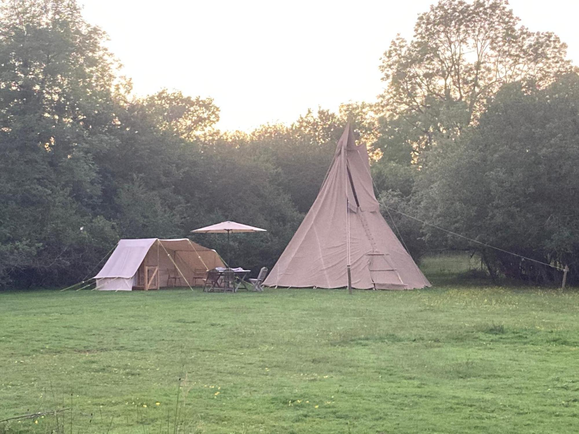 Dragonfly Ifold & Alpaca My Tipi Glamping Lodge *